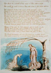 Warum sollte die Herrin..., Platte 4 aus Das Buch von Thel, 1789